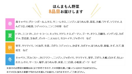 化学合成農薬等不使用で栽培！安心安全な「ほんまもん野菜」を8品目お届け♪　新鮮　旬の野菜　詰め合わせ