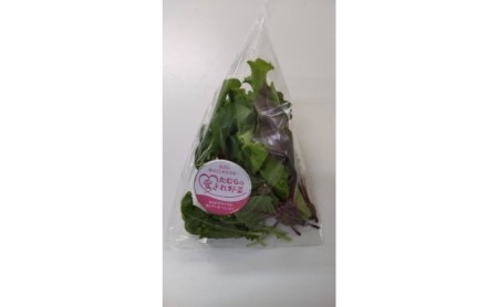 【定期便 6ヶ月連続】洗わずに食べられる！たむらの愛され野菜 ミックスリーフセット　10個 時短 サラダ 栽培期間中無農薬 安心 安全 3種類以上の野菜 ミックス野菜 サラダ野菜 すぐ食べられる 国産 群馬県産 
