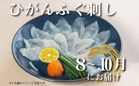【 刺身 】定期便4回 季節のふぐ刺身 4-5人前 CX