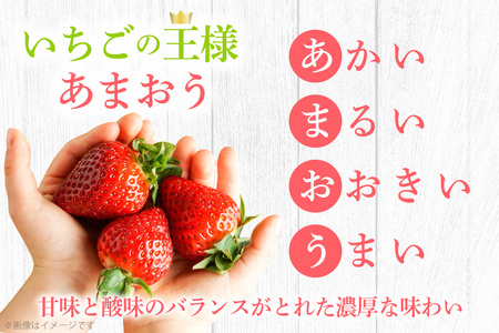 いちご 冷凍 完熟 あまおう 3.5kg いちご 【2027年発送先行受付】