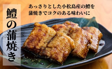 ハモ 切り身 定期便 偶数月 3回 1kg×3ヵ月 3kg 小松島産 鱧 ハモ
