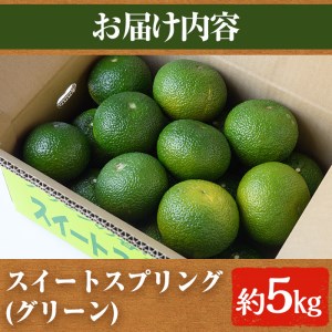 ＜先行予約受付中！2026年12月以降順次発送予定＞数量限定！スイートスプリング(グリーン)(5kg)国産 みかん 果物 フルーツ 柑橘 ミカン 期間限定【桐野柑橘株式会社】akn070-05