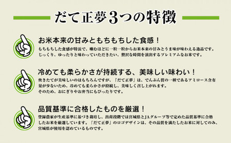 いしのまき産 米「だて正夢」（精米）10kg 宮城県産 石巻市