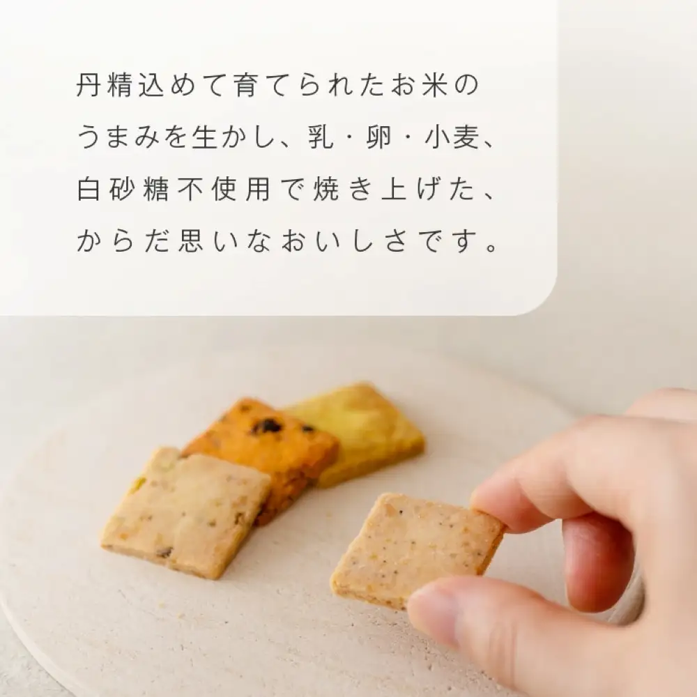 グルテンフリー 山田錦 サブレ 【箱入り4種アソート（黒胡椒/トマト/ターメリック/ピスタチオ）】田田田堂 米粉 お菓子 クッキー スイーツ 小麦 乳 卵 白砂糖 不使用 アレルギー 対応 無農薬 米 ビーガン ヴィーガン