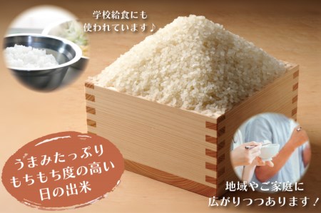 先行予約 新米 令和8年産米 10kg すぐ発送 すぐ届く 低農薬米 大洗 日の出米 コシヒカリ 精米 令和8年産 特別栽培米 コメ こめ 送料無料_BS003
