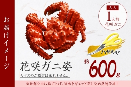ボイル花咲蟹姿 600g 食べ方ガイド・専用ハサミ付 カニ かに 蟹 海鮮 送料無料 北海道 弟子屈町 2926