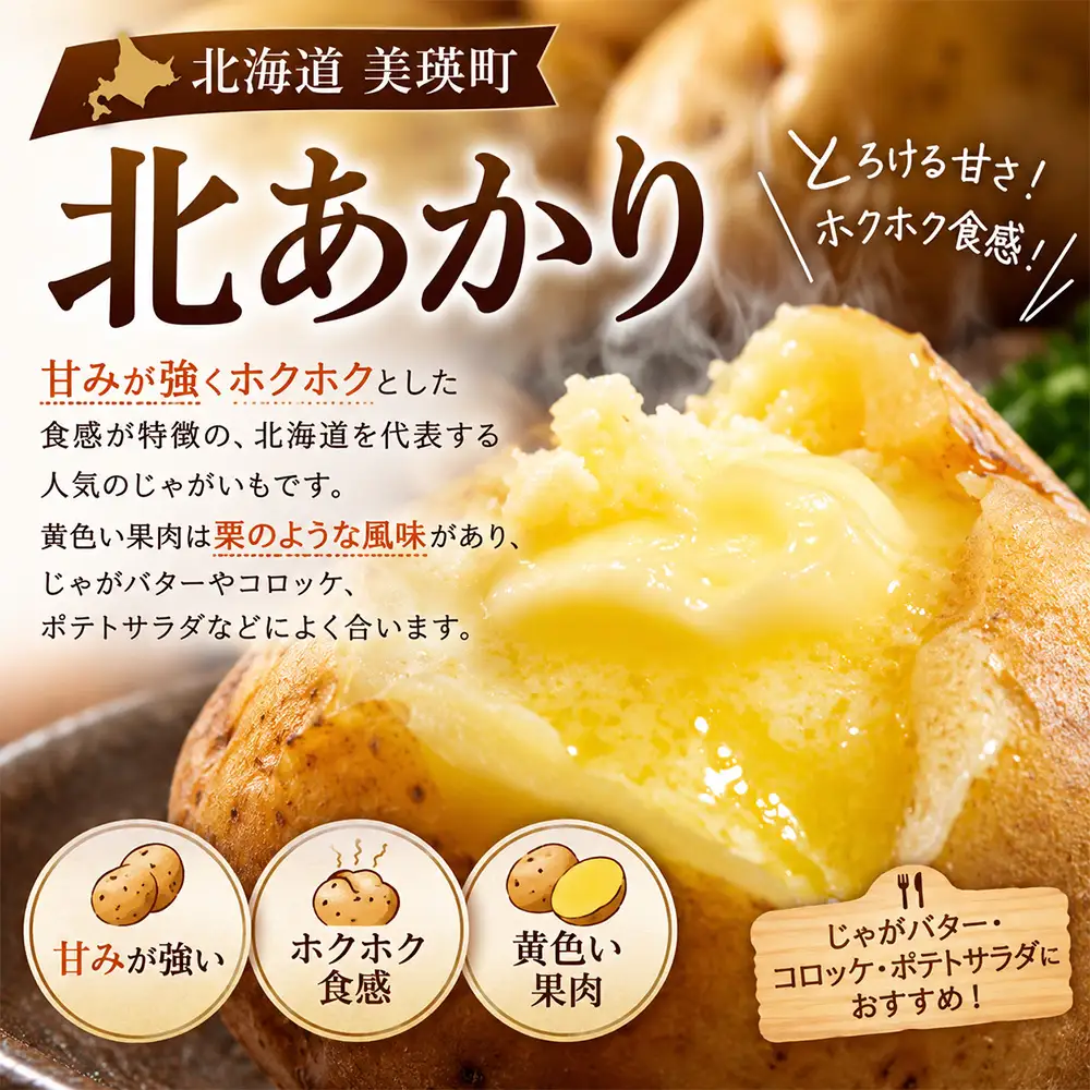 野菜 定期便【令和9年産 先行予約】4回便 アスパラ とうもろこし じゃがいも 玉ねぎ 北海道美瑛町 おおとり