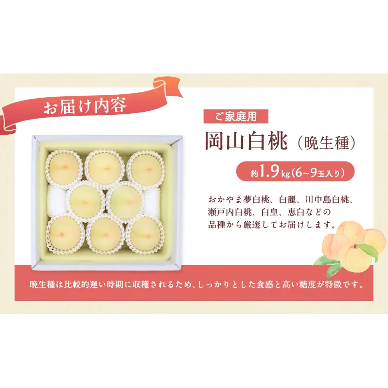 桃 2026年 先行予約 岡山 白桃（晩生種）ご家庭用 約2kg 6～9玉入り もも モモ 岡山県産 国産 フルーツ 果物 直送！せとうちバスケット こだわり 特産品 白い 香り 果汁 シーズン 高糖度 
