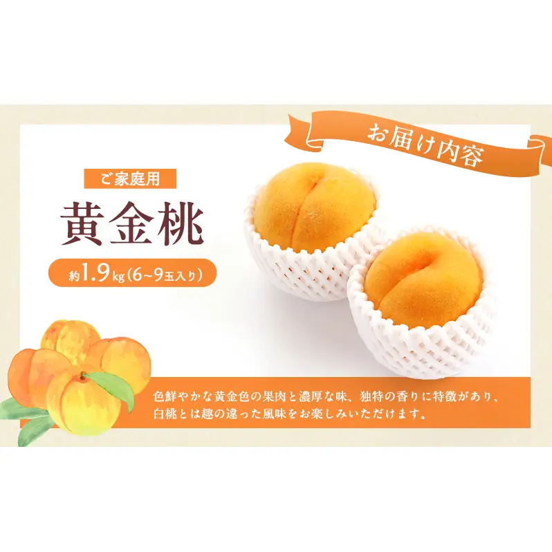 桃 2026年 先行予約 岡山 黄金桃 ご家庭用 約2kg 6～9玉入り もも モモ 岡山県産 国産 フルーツ 果物 直送！せとうちバスケット スイーツ こだわり 特産品 白い 香り 果汁 シーズン 濃厚 