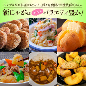 令和8年産　新じゃがいも　訳あり『デジマ』10kg