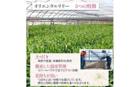 日頃の感謝を「花束」で、オリエンタルリリー【優品3本】／Osy-B13  誕生日 植物 フラワー プレゼント 花束 ゆり リリー お花