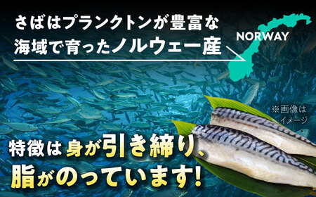 【3回定期便】 炭火焼 トロさば 蒲焼 10枚入 /すみまる [UDH018] 手焼き サバ 鯖 さば 蒲焼き タレ付き