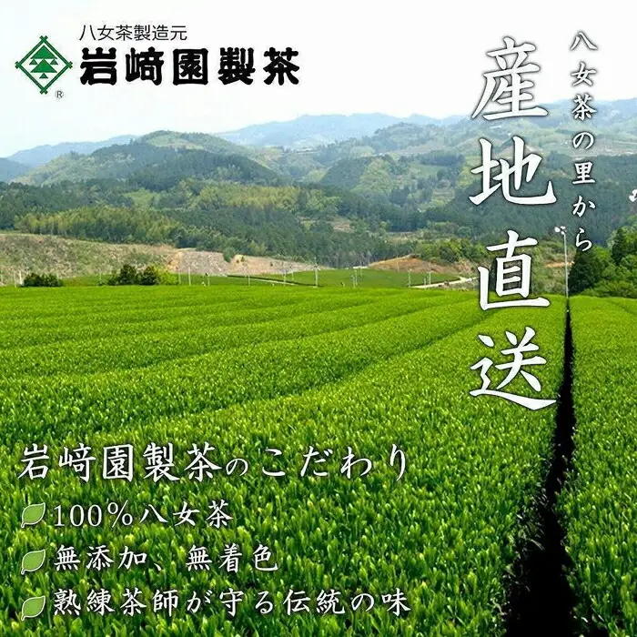 【予約品 ギフト対応】2027年産 八女茶100％新茶 ２種ギフト 100g缶詰 ２缶入 ＜岩崎園製茶＞ 075-060