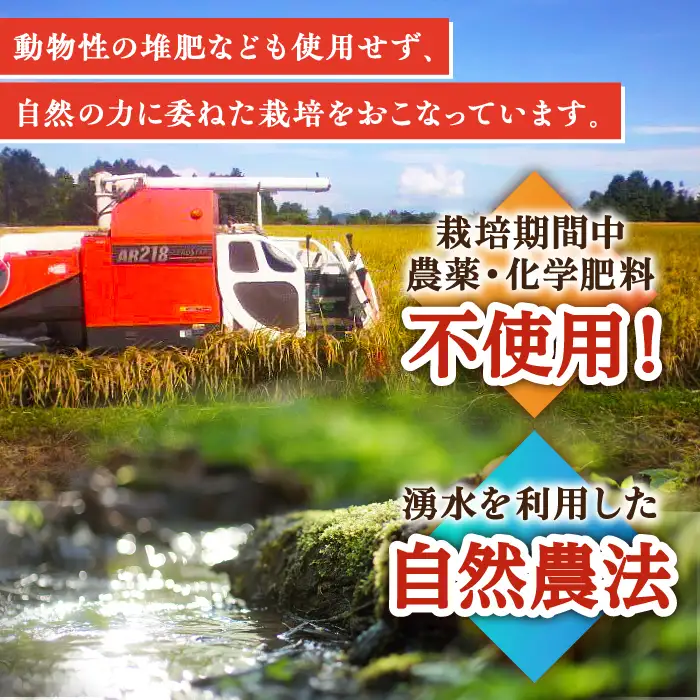 玄米 特別栽培米 ヒノヒカリ玄米 6kg /永尾 忠則 [UAS006] 