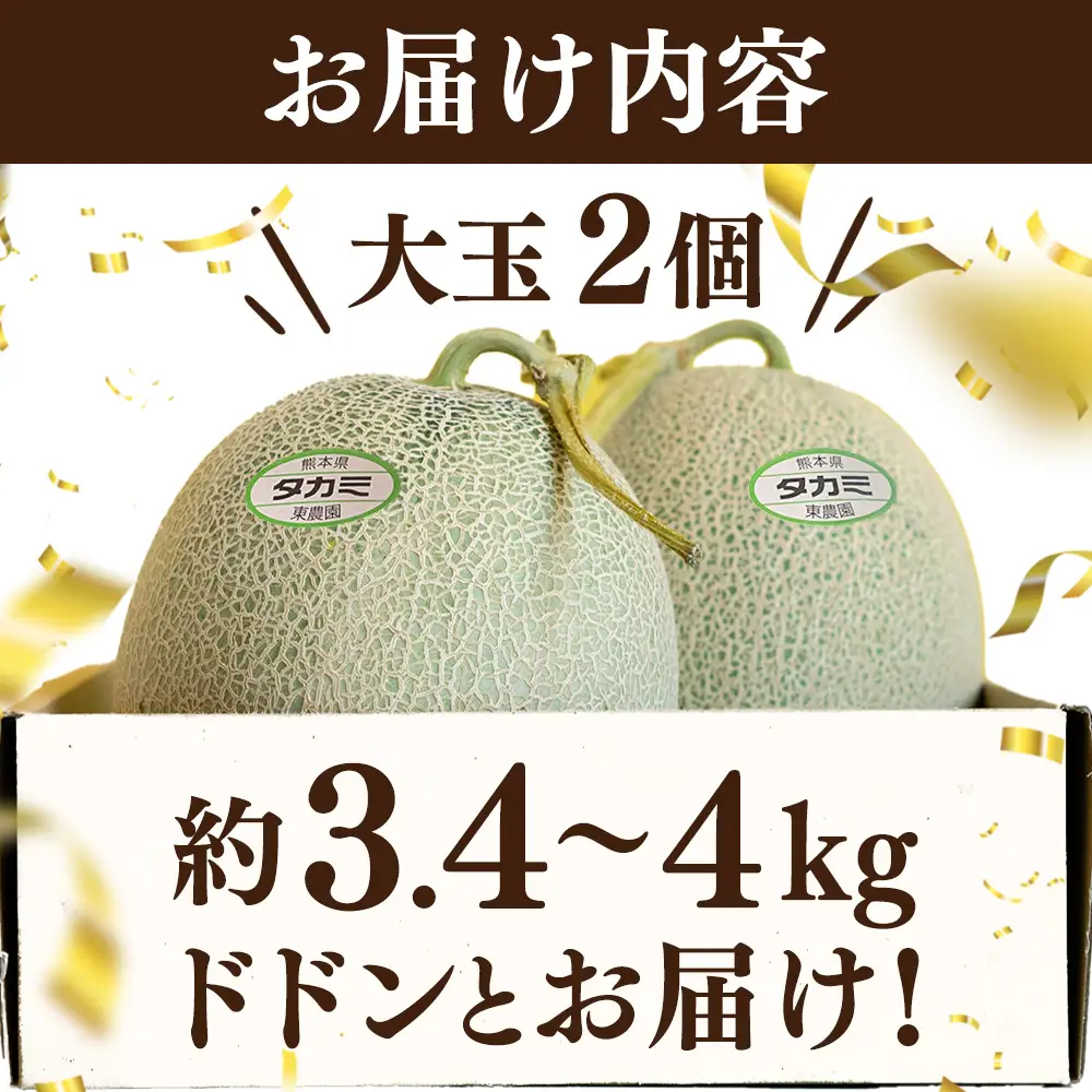 【2027年4月中旬発送開始】タカミメロン（極み）大玉2個入り 3.4kg～4kg メロン めろん 果肉 果実 大玉 果物 くだもの フルーツ 旬 旬のフルーツ 旬の果物  極上 熊本県 多良木町 多良木 001-0659