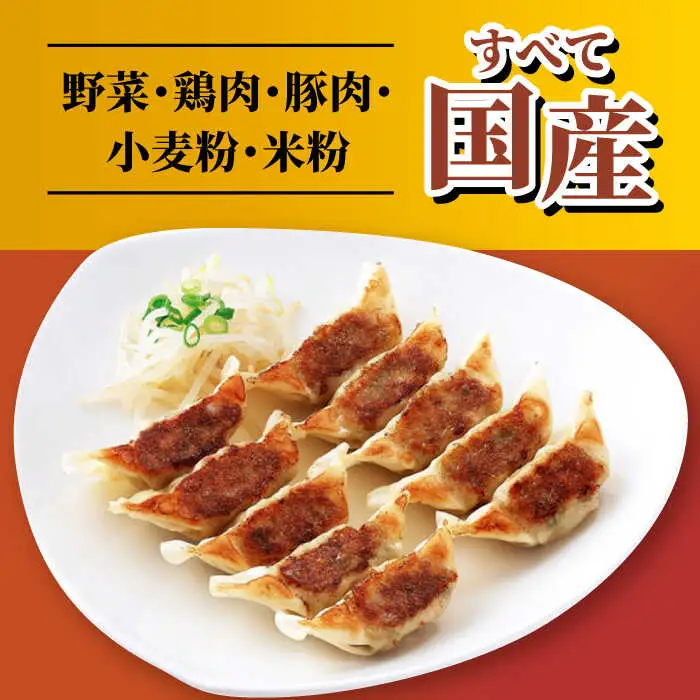 ぎょうざ12個×5パック リンガーハット 餃子 ギョウザ[FBI029]