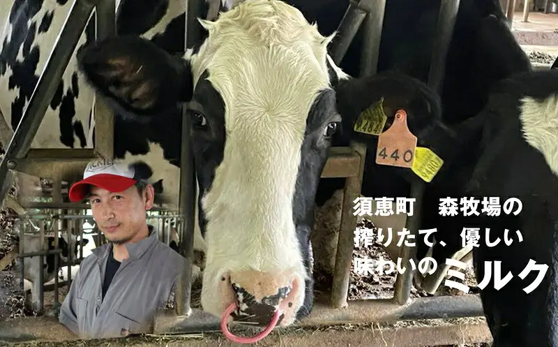ジェラート ミルク 9個 森牧場 搾りたて | アイス ジェラート