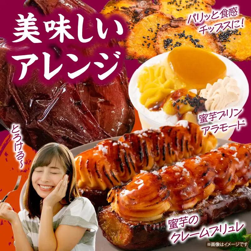 国富金時 蜜芋（400g×2）合計800g さつまいも 焼き芋 やきいも 干し芋 ほしいも スイーツ 甘い 真空パック 蜜芋 デザート セット ご褒美 おやつ お取り寄せ 贈り物 ギフト プレゼント