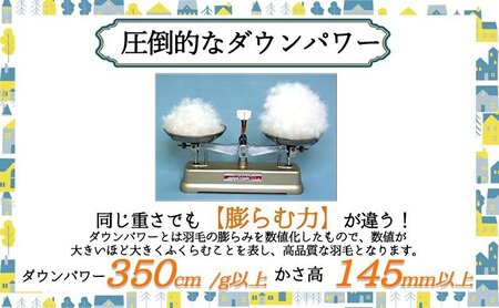 羽毛布団 掛け布団 シングル 北欧調 グレー 羽毛布団【ダウン90% 1.0kg】