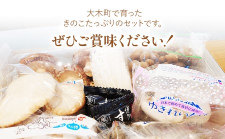 きのこ詰め合わせ　9点セット　CD19