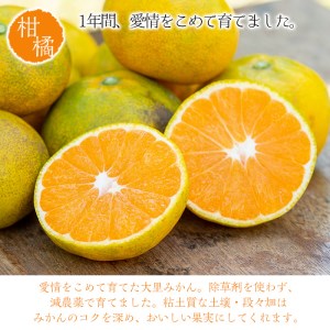 【数量限定】森の蔵農園のみかんジャムSatsuma3本セット【00-072-01】