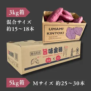 【予約受付中・2026年11月中旬頃より順次発送】鳴門市大津産　旨味金時 3kg　鳴門　ほくほく　天ぷら　焼き芋　スイーツ　さつまいも