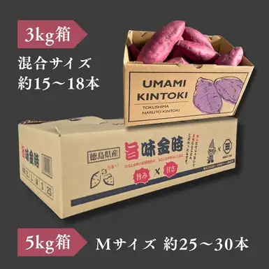 【予約受付中・2026年11月中旬頃より順次発送】鳴門市大津産　旨味金時 5kg　鳴門　ほくほく　天ぷら　焼き芋　スイーツ　さつまいも　