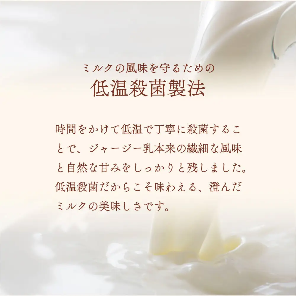 ジェラテリア TiG（ティグ）イタリアンジェラート 無着色・無香料 ミルキージャージー 2000ml（2L）