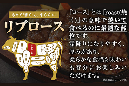 くまもと黒毛和牛 リブロースステーキ 500g ( 250g x 2枚 ) 牛肉 冷凍 《30日以内に出荷予定(土日祝除く)》 くまもと黒毛和牛 黒毛和牛 冷凍庫 個別 取分け 小分け 個包装 ステーキ肉 にも リブロースステーキ 美味しい牛肉 熊本牛肉 ジューシー牛肉 贅沢な牛肉 st-p