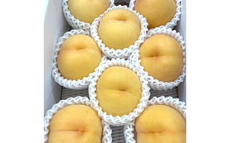 【令和8年度産先行受付】山形の黄色い桃（有袋・無袋） 秀品 約2kg もも モモ 桃 デザート フルーツ 果物 くだもの 果実 食品 山形県 FSY-1833