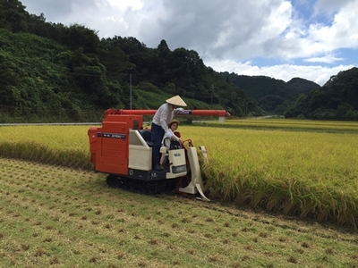 ★令和6年産★定期便 ６ヶ月 食味値 80点以上 にじのきらめき お米 精米 ３kg 月１回 ／ 民ちゃん農園 ふるさと納税 有機肥料 ハイグレード 極上 おいしい ミネラル 米 こめ お米 お取り寄せ 美味しい ブランド オススメ 送料無料 奈良県 宇陀市 大和高原