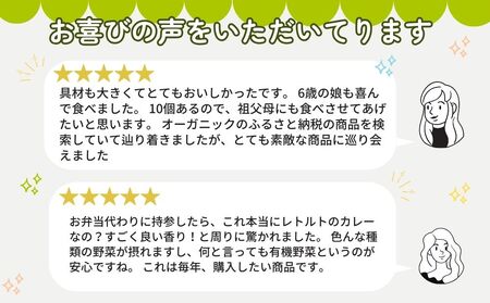 定期便 ３ヶ月 農家のたっぷり野菜カレー １０個 月１回 ／ふるさと納税 山口農園 有機野菜 オーガニック 伝統野菜 レトルト 詰め合わせ ギフト カレーセット スパイス 飯 キャンプお取り寄せ 奈良県 宇陀市 おかず ご当地 簡単 お歳暮 暑中見舞い 時短 保存食 