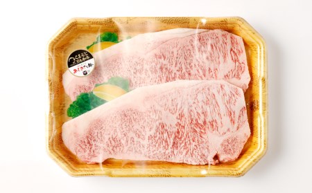 黒毛和牛 あしきた牛 サーロインステーキ 2枚 合計400g (200g×2) 和牛 肉
