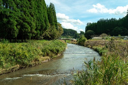 【田代農園】令和7年産 精米 5kg 田代さんのお米 銘柄おまかせ あきげしき ひのひかり こしひかり 産直 ノンブレンド米 単一原料 お米 白米 精白米 ヒノヒカリ コシヒカリ 熊本 阿蘇 小国町 産地直送 国産 日本産 地場産 贈答
