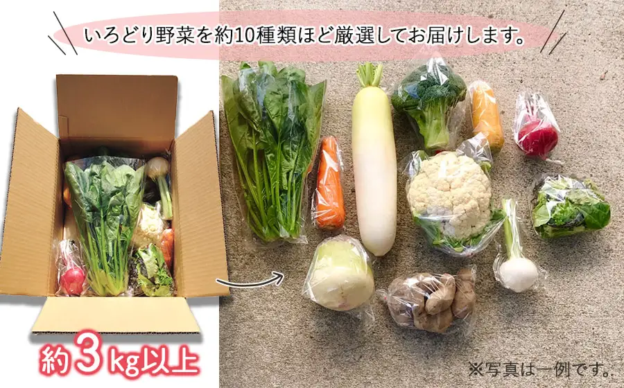 いろどり野菜セット (約8～10種類程度) 3㎏以上 山形県鶴岡産 やさいろ