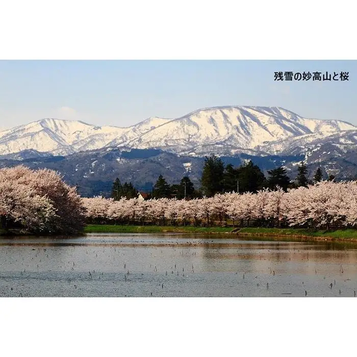 【新潟県】JTBふるさと旅行券（90,000円分）有効期間5年 | 予約 宿泊 観光 体験 温泉 ホテル 旅館 チケット 子供 子連れ カップル 家族 店頭 電話 新潟