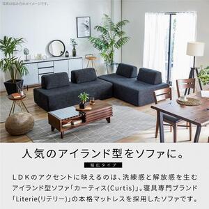 ソファ 完成品 幅170 カーティス ソファ ＜ダークグレー＞【モーブル／大川家具】