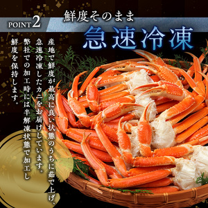 蟹 ズワイガニ 脚 ボイル 4L 5L 2kg 宮城県亘理町 かに