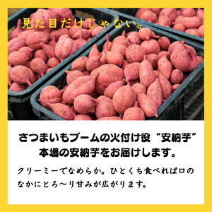 種子島 安納いも 焼き 干し芋 『 taneco 』３箱セット　NFN478 【400pt】