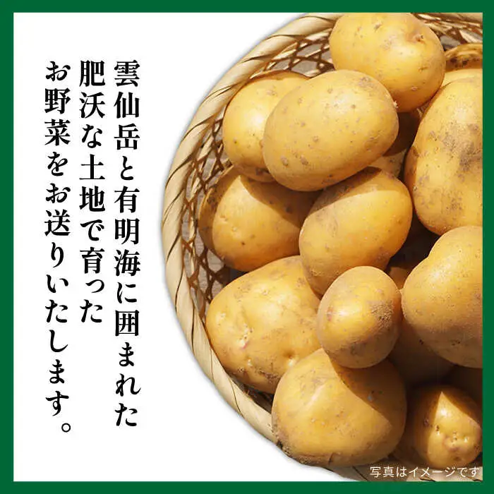 【12回定期便】地元農家さんが収穫した旬のお野菜  10種詰め合わせ / 野菜 旬 新鮮 採れたて 季節野菜 旬野菜 農家直送 野菜定期便 定期便 / 南島原市 / ミナサポ  [SCW047]