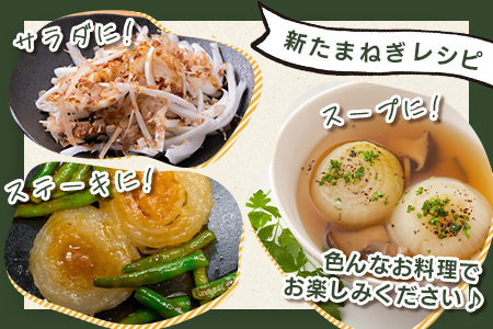 先行受付 2027年配送【生産者直送】鹿島産 新たまねぎ 約10kg サイズ混合【高評価4.8以上】AA-17