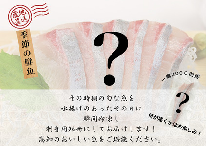 豪華なお刺身用短冊セット  ≪カネアリ水産≫