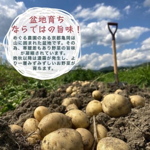 【6回定期便】野菜詰め合わせ めぐる農園 野菜