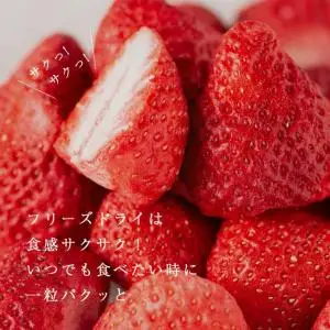 形も味も生のまま！武下さんちの完熟あまおうフリーズドライ 20g×3袋セット 白いVIPボックスに入れて！