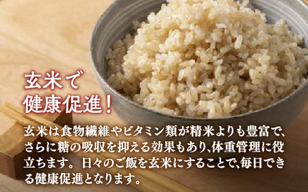 【隔月配送5ヵ月】ホクレン ゆめぴりか 玄米12kg（3kg×4）