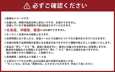 葡萄詰合せ（シャインマスカット晴王 2房（1房 580g以上）・ニューピオーネ 2房（1房 580g以上） 露地栽培【2026年9月上旬～10月下旬まで順次発送予定】ぶどう 葡萄 ブドウ ピオーネ マスカット フルーツ
