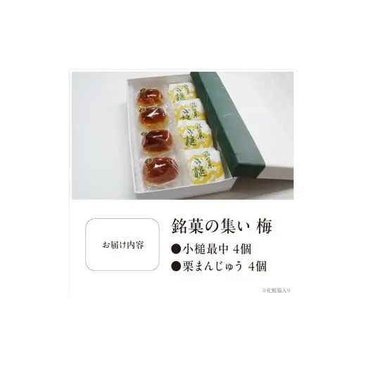 銘菓の集い 梅（2種計8個）