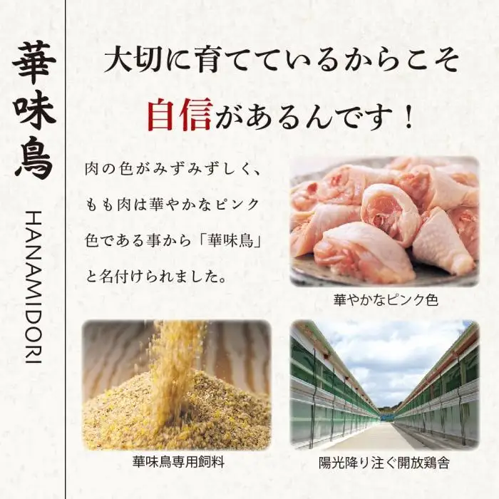 博多 華味鳥 水たき・もつ鍋 セット  各3～4人前 有名店｜水炊き