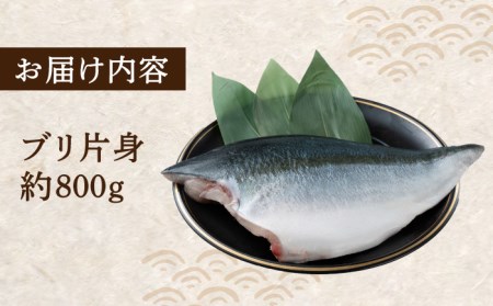 【24年1月9日以降発送】【1月限定】対馬 寒 ブリ 片身 800g 刺身 [WAD004]冷蔵 ぶり 寒ぶり フィレ 鰤 刺身 ブリしゃぶ