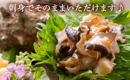 荒磯 さざえ 2.5 kg天然 サザエ 国産海鮮 [WAD006] 栄螺 BBQ 壺焼き 浜焼き